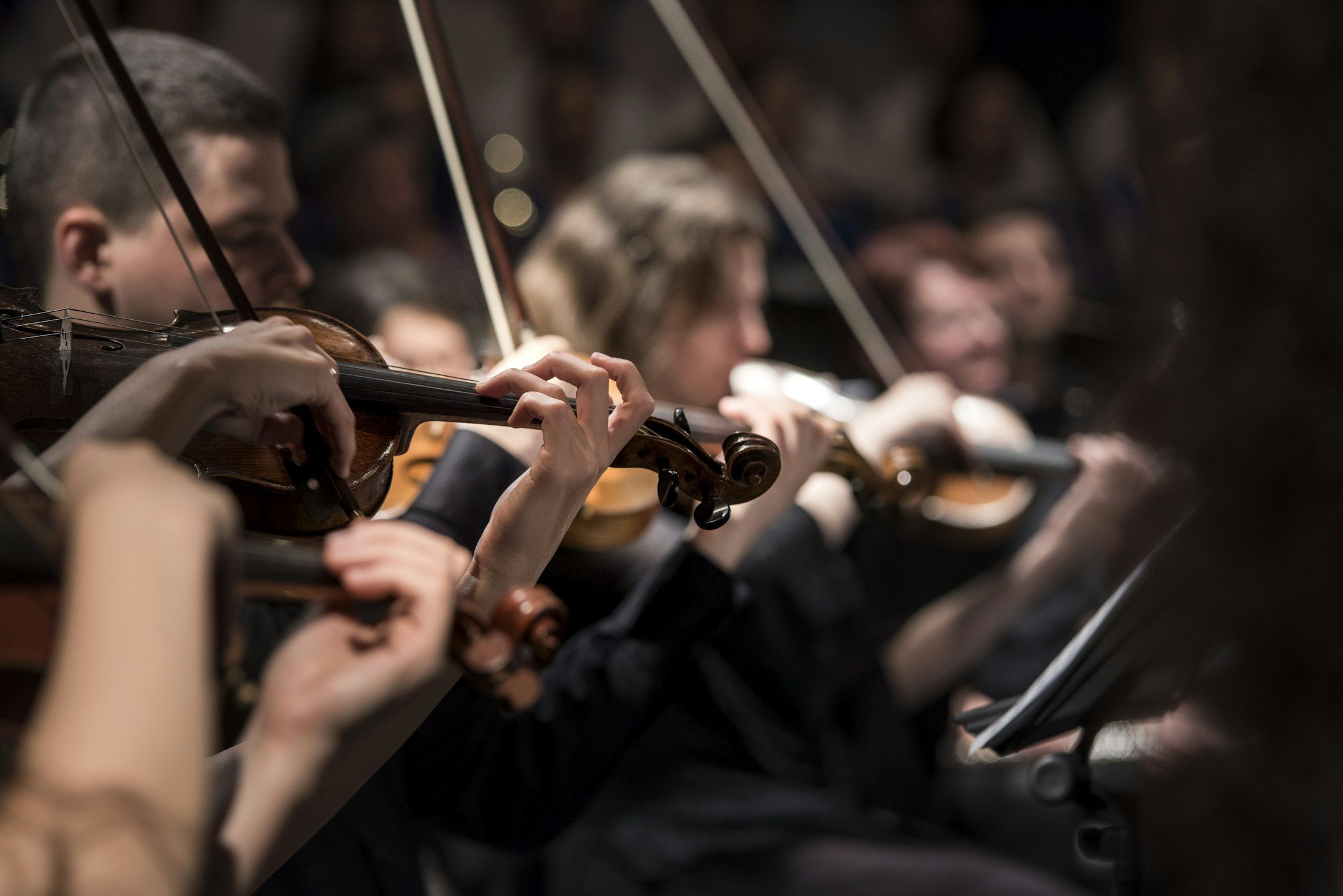 A string section playing in unison, bows moving together